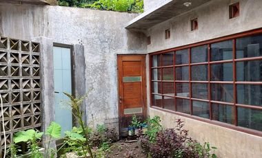Rumah Natural, Luas dan Adem di Wedomartani