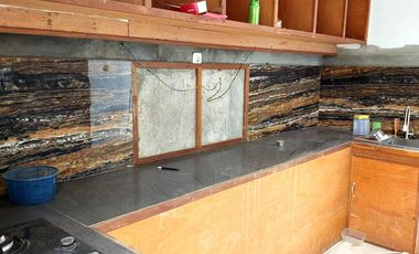 Rumah Natural, Luas dan Adem di Wedomartani