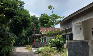 Rumah Natural, Luas dan Adem di Wedomartani