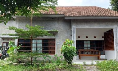 Rumah Natural, Luas dan Adem di Wedomartani