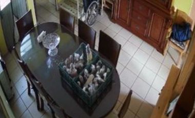 Renta planta baja casa en la Chapultepec a profesionista, académico responsable. 1 habitación, 1 baño