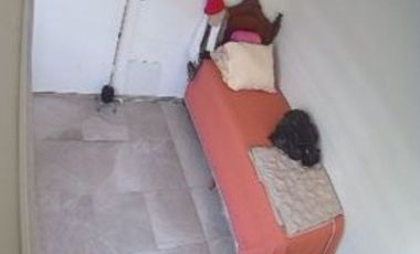 Renta planta baja casa en la Chapultepec a profesionista, académico responsable. 1 habitación, 1 baño