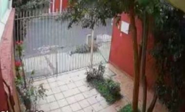 Renta planta baja casa en la Chapultepec a profesionista, académico responsable. 1 habitación, 1 baño