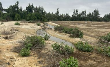 VENTA TERRENO AGRICOLA ALTURA KM 220 PANAMERICANA SUR entre Chincha y Pisco