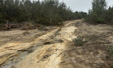 VENTA TERRENO AGRICOLA ALTURA KM 220 PANAMERICANA SUR entre Chincha y Pisco