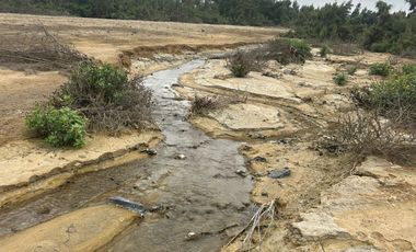 VENTA TERRENO AGRICOLA ALTURA KM 220 PANAMERICANA SUR entre Chincha y Pisco