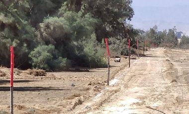 VENTA TERRENO AGRICOLA ALTURA KM 220 PANAMERICANA SUR entre Chincha y Pisco