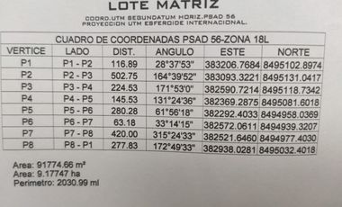 VENTA TERRENO AGRICOLA ALTURA KM 220 PANAMERICANA SUR entre Chincha y Pisco