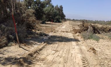 VENTA TERRENO AGRICOLA ALTURA KM 220 PANAMERICANA SUR entre Chincha y Pisco