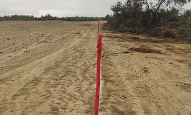 VENTA TERRENO AGRICOLA ALTURA KM 220 PANAMERICANA SUR entre Chincha y Pisco
