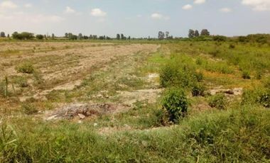 VENTA TERRENO AGRICOLA ALTURA KM 220 PANAMERICANA SUR entre Chincha y Pisco
