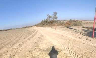 VENTA TERRENO AGRICOLA ALTURA KM 220 PANAMERICANA SUR entre Chincha y Pisco