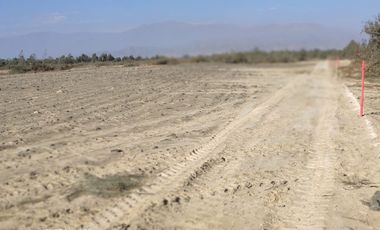 VENTA TERRENO AGRICOLA ALTURA KM 220 PANAMERICANA SUR entre Chincha y Pisco