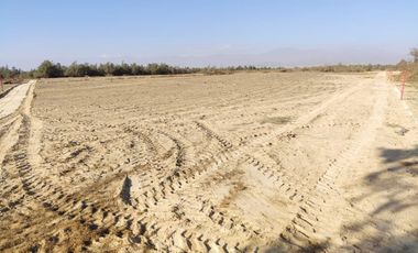 VENTA TERRENO AGRICOLA ALTURA KM 220 PANAMERICANA SUR entre Chincha y Pisco