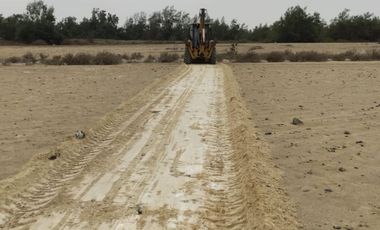 VENTA TERRENO AGRICOLA ALTURA KM 220 PANAMERICANA SUR entre Chincha y Pisco