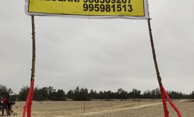 VENTA TERRENO AGRICOLA ALTURA KM 220 PANAMERICANA SUR entre Chincha y Pisco