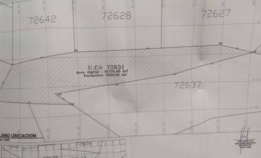 VENTA TERRENO AGRICOLA ALTURA KM 220 PANAMERICANA SUR entre Chincha y Pisco