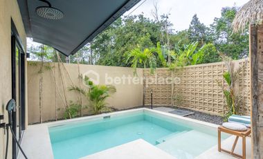Value-Priced 2-Bedroom Leasehold Villa with Private Pool & Investment Potential in Ubud