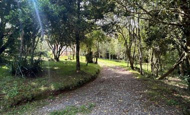 Vendemos gran oportunidad ,parcela de 5.000m2 con casa de 115 m2.,Chabelita, a 13 kms de Valdivia