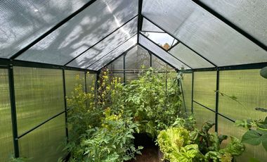 Vendemos gran oportunidad ,parcela de 5.000m2 con casa de 115 m2.,Chabelita, a 13 kms de Valdivia