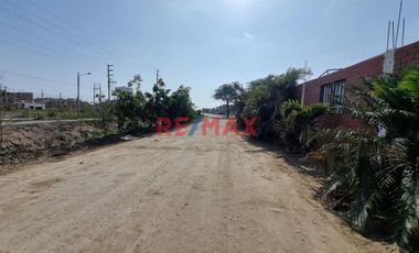 Terreno En Venta En Sector La Joyita Pimentel (T. ENEQUE)