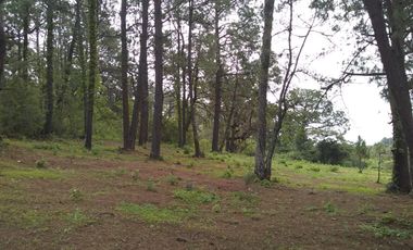 TERRENOS EN VENTA EN TAPALPA