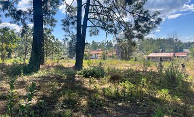 TERRENOS EN VENTA EN TAPALPA