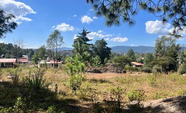 TERRENOS EN VENTA EN TAPALPA