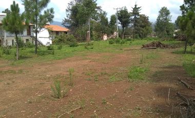 TERRENOS EN VENTA EN TAPALPA