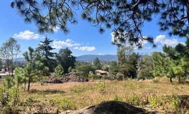 TERRENOS EN VENTA EN TAPALPA
