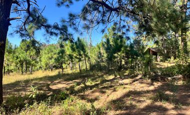 TERRENOS EN VENTA EN TAPALPA