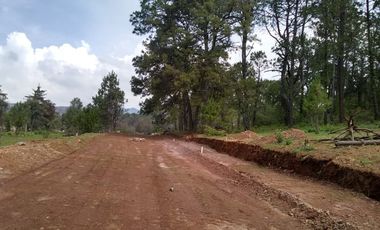 TERRENOS EN VENTA EN TAPALPA