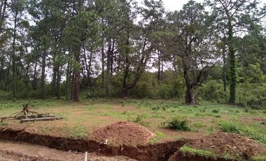 TERRENOS EN VENTA EN TAPALPA