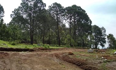 TERRENOS EN VENTA EN TAPALPA