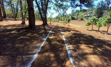 TERRENOS EN VENTA EN TAPALPA