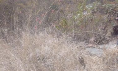 Terreno en Venta en Residencial Rancho San Diego, Ixtapan de la Sal