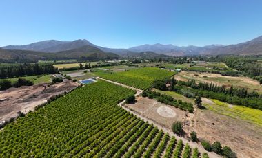 VENTA / 7 Hectareas en produccion de nectarines, Rabuco Ocoa|