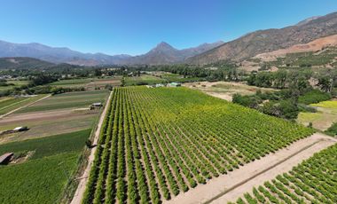 VENTA / 7 Hectareas en produccion de nectarines, Rabuco Ocoa|
