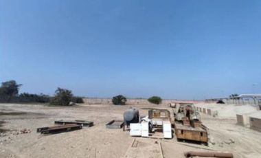 LOCAL 20MIL M²- CHINCHA BAJA, ANT. PANAM. SUR