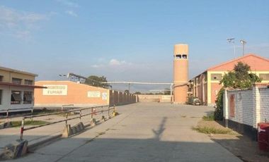 LOCAL 20MIL M²- CHINCHA BAJA, ANT. PANAM. SUR