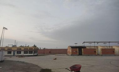 LOCAL 20MIL M²- CHINCHA BAJA, ANT. PANAM. SUR