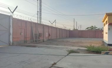 LOCAL 20MIL M²- CHINCHA BAJA, ANT. PANAM. SUR