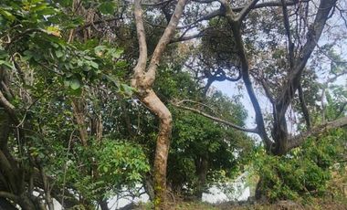 Terreno en venta en Tepoztlán Morelos, cerca del Hotel Sitio Sagrado