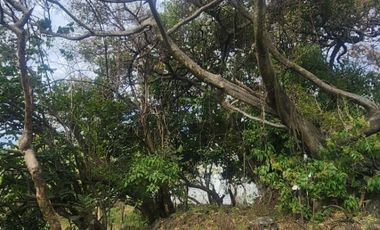 Terreno en venta en Tepoztlán Morelos, cerca del Hotel Sitio Sagrado
