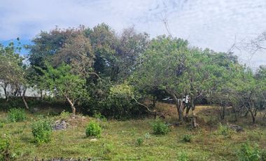 Terreno en venta en Tepoztlán Morelos, cerca del Hotel Sitio Sagrado