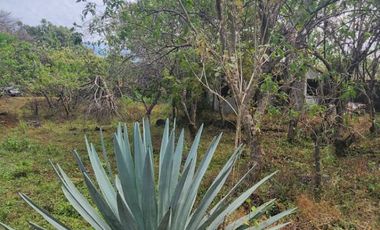 Terreno en venta en Tepoztlán Morelos, cerca del Hotel Sitio Sagrado