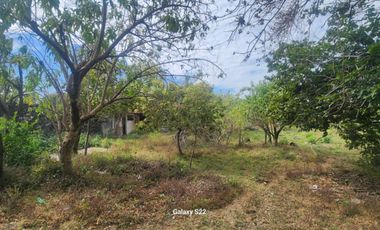 Terreno en venta en Tepoztlán Morelos, cerca del Hotel Sitio Sagrado