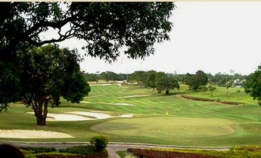 452 sqm In Orchard Golf & Residential Estates Dasmarinas Cavite