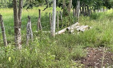 Rancho en Venta en Santa Rosa Tizimin