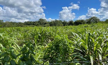 Rancho en Venta en Santa Rosa Tizimin